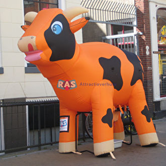 Ranjakoe huren. Ras attractieverhuur Bergen op Zoom. Deze limondae koe is eeen echte blikvanger. Eventueel samen te huren samen met ons koe springkussen.