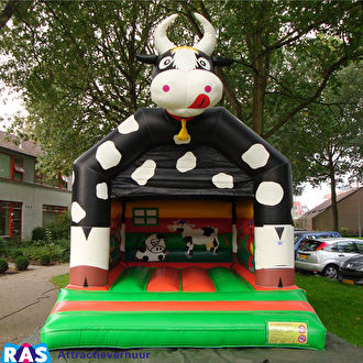 Springkussen huren bergen op zoom en halsteren.